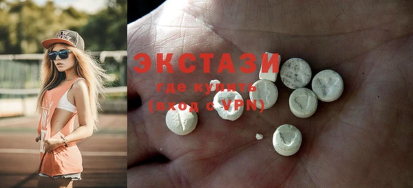 хмурый Аркадак