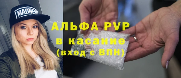 хмурый Аркадак
