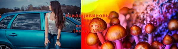дмт Алексеевка