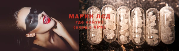 хмурый Аркадак