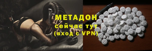 хмурый Аркадак