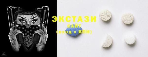 хмурый Аркадак